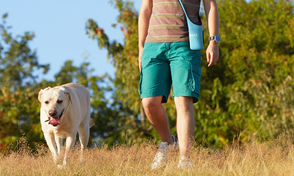 Luxury Walks Begin with a Tailored Leash