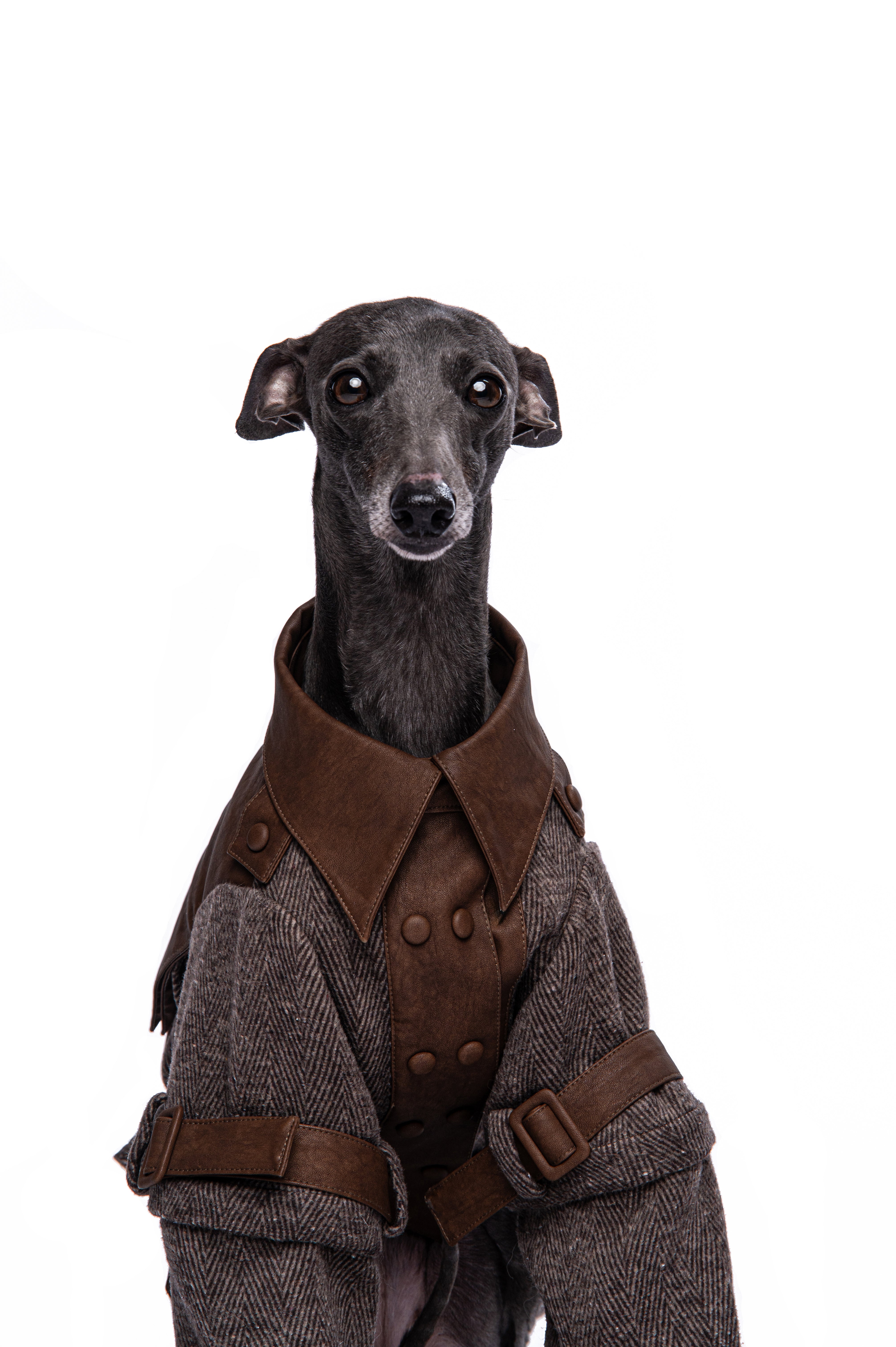 Heritage Rider Coat
