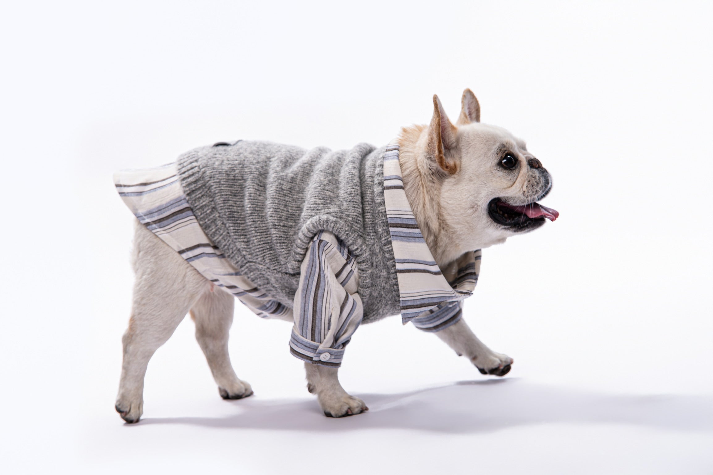 Knit Vest & Shirt Set