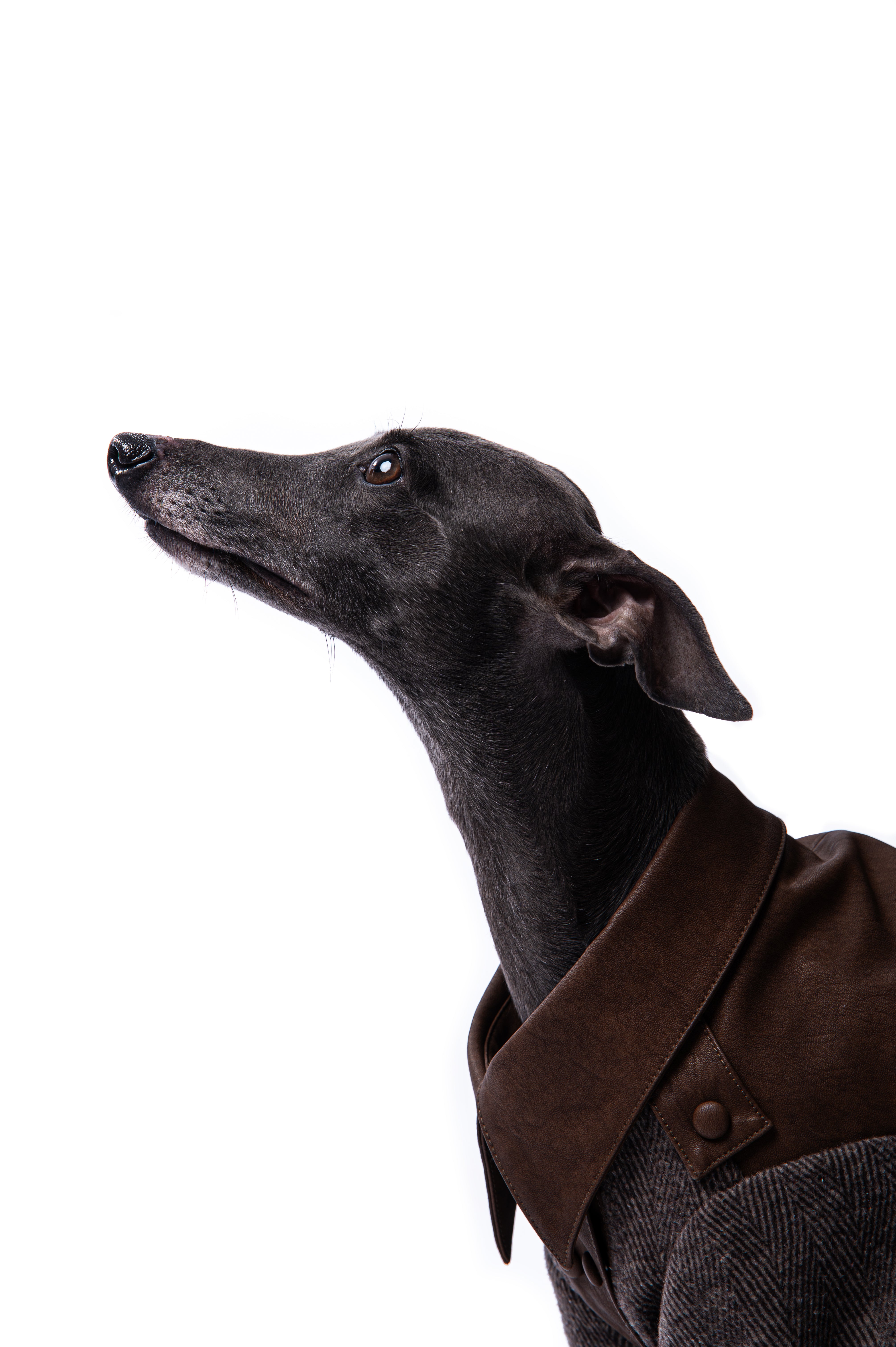 Heritage Rider Coat