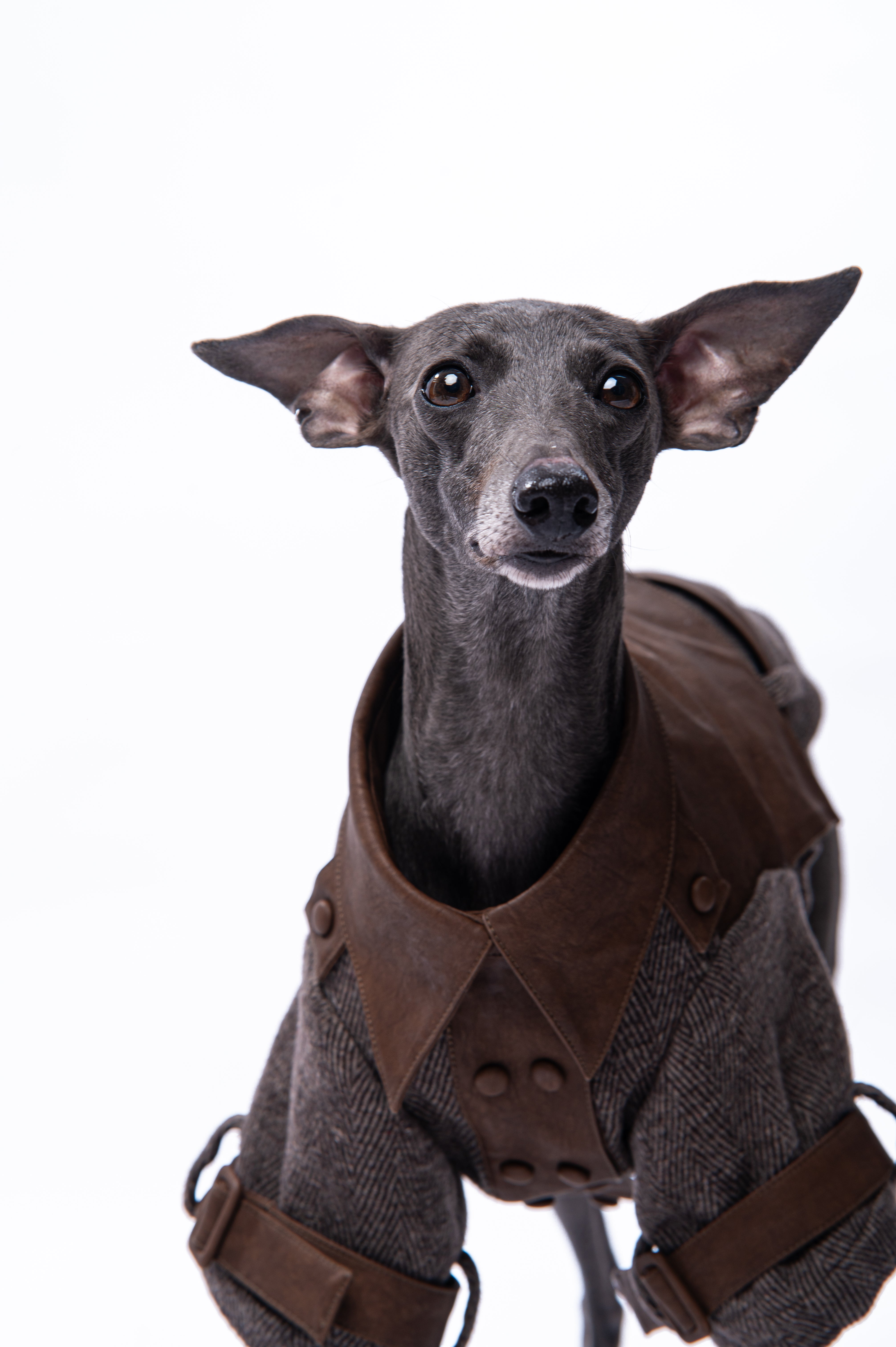Heritage Rider Coat