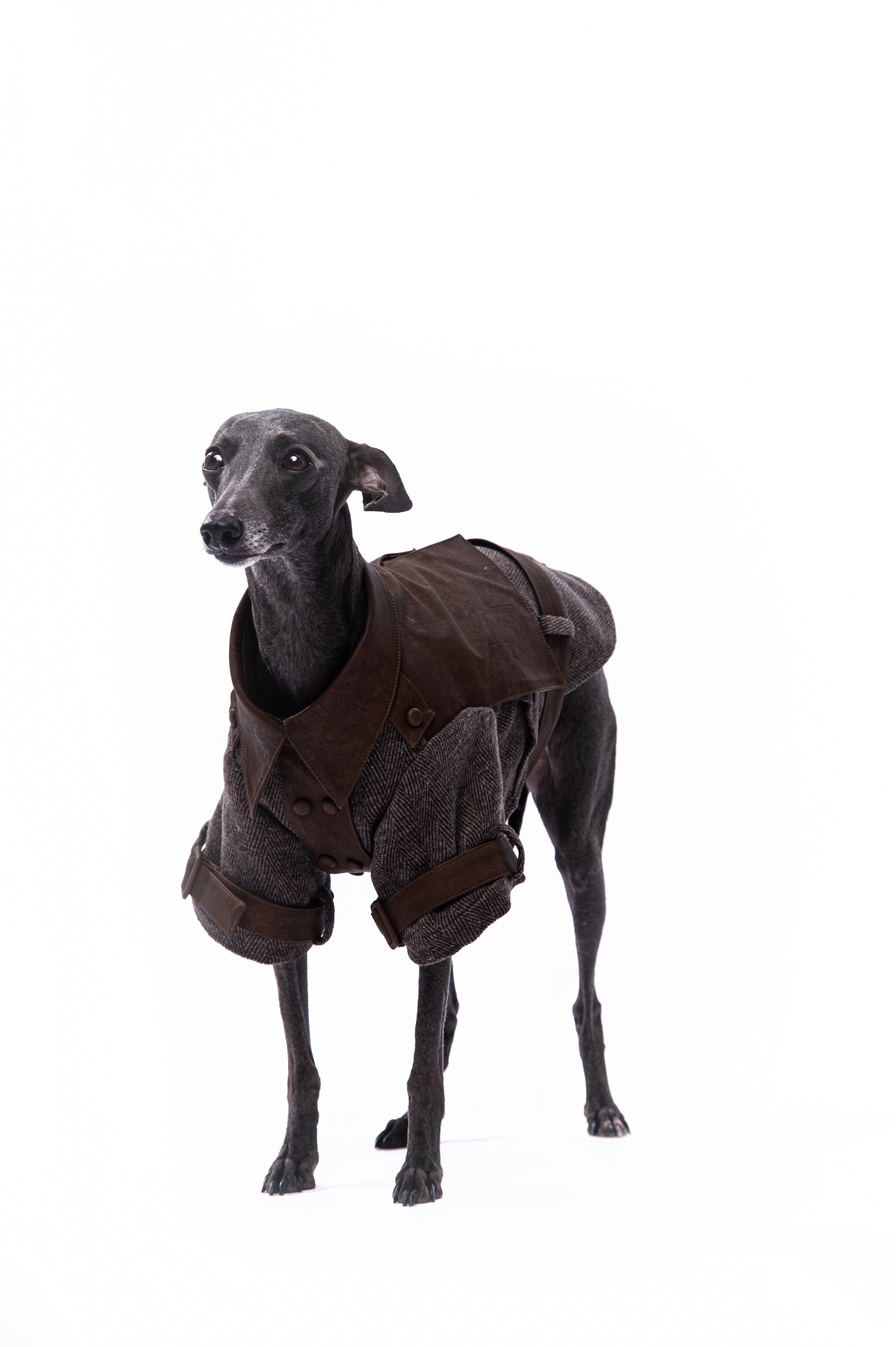 Heritage Rider Coat