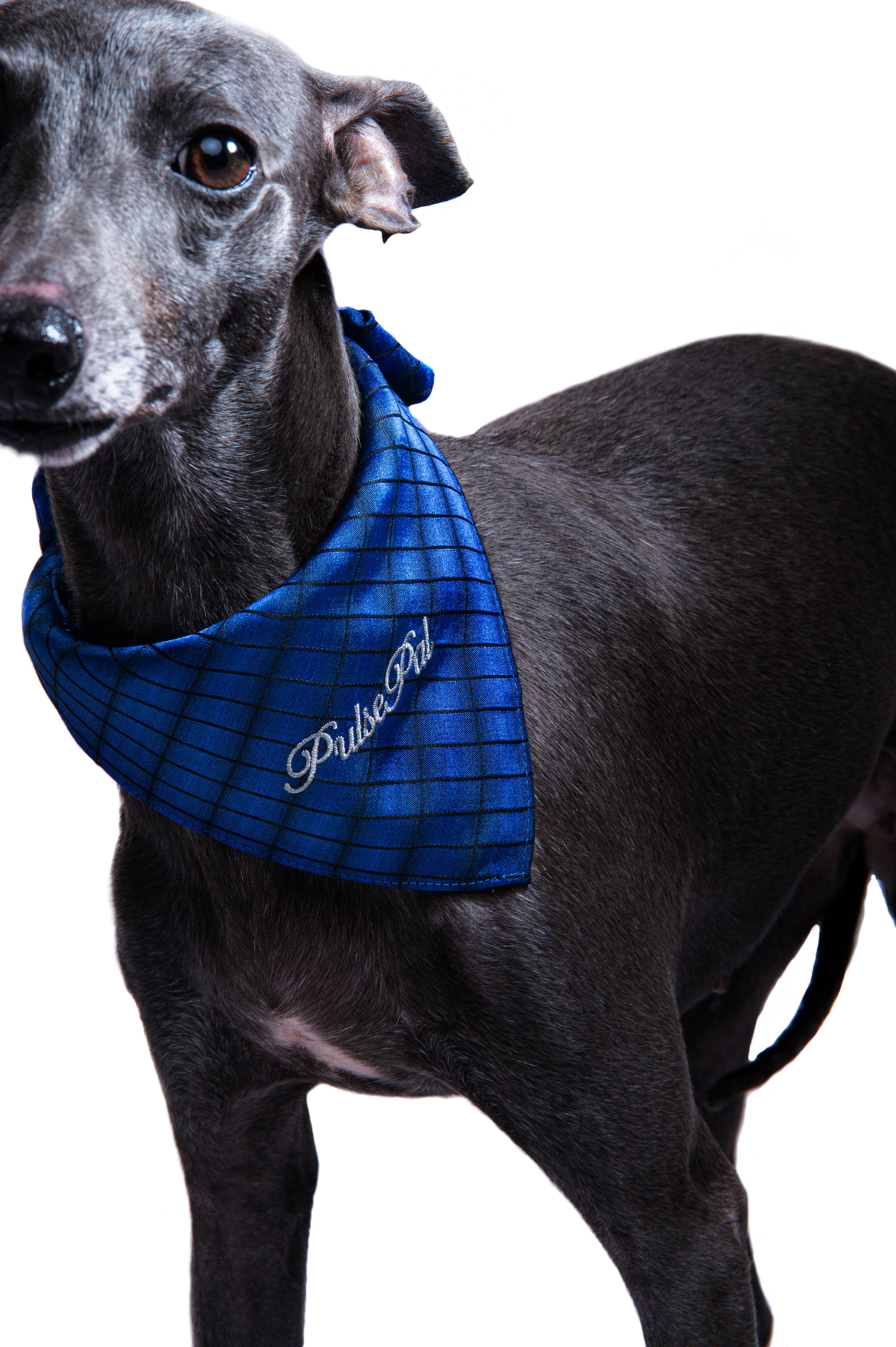 Moonlight Jacquard Bamboo Collection