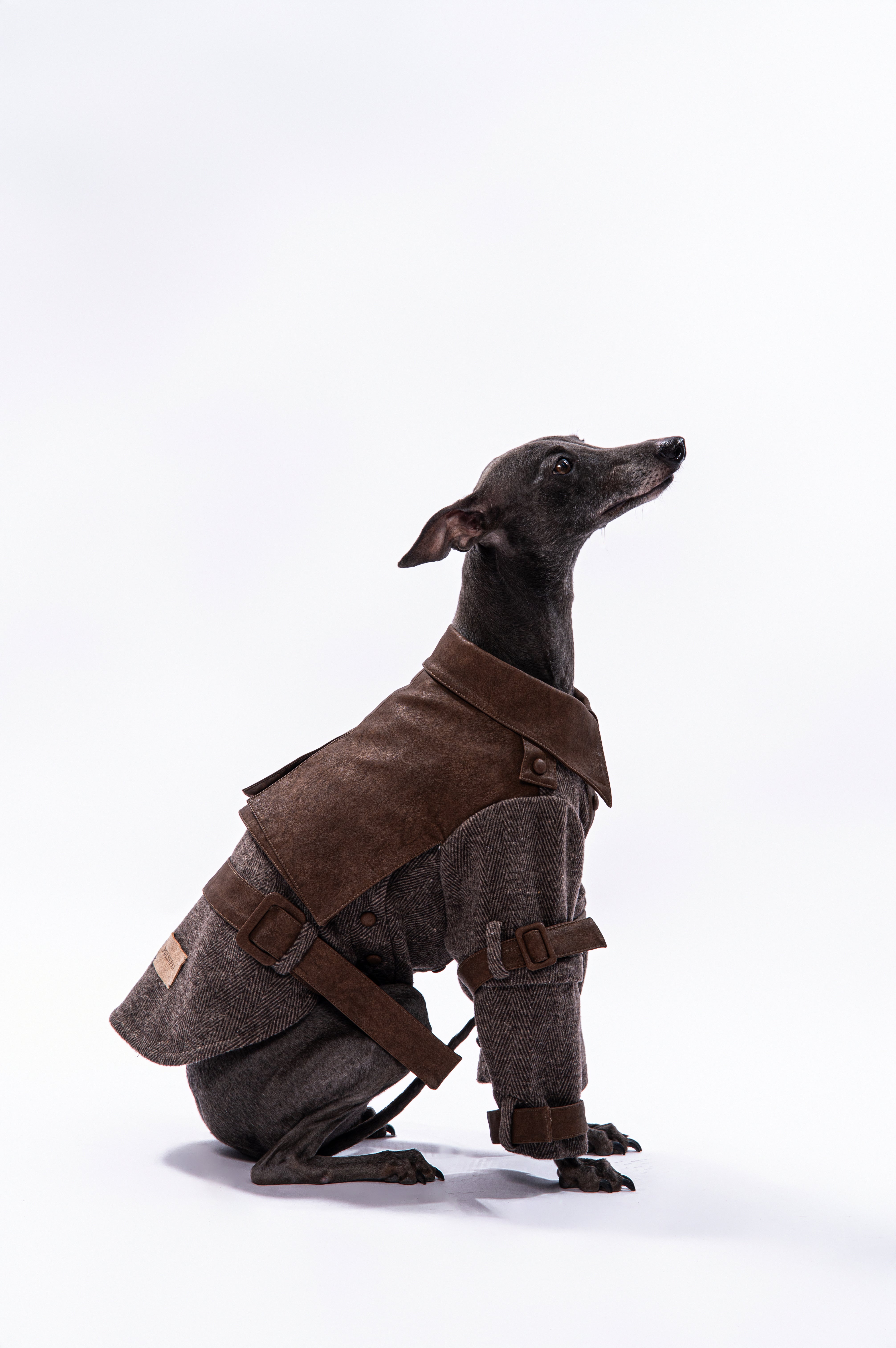 Heritage Rider Coat