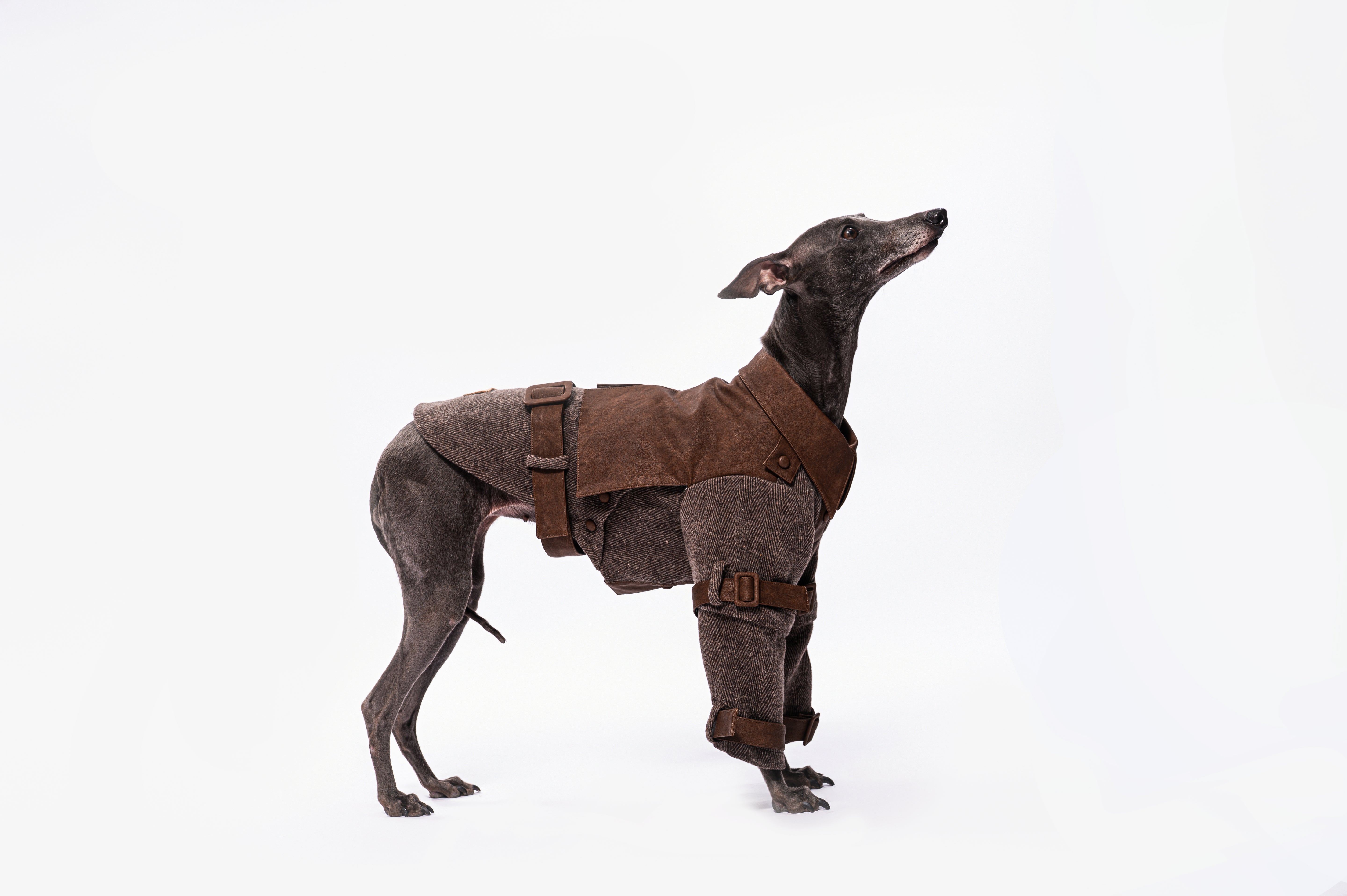 Heritage Rider Coat