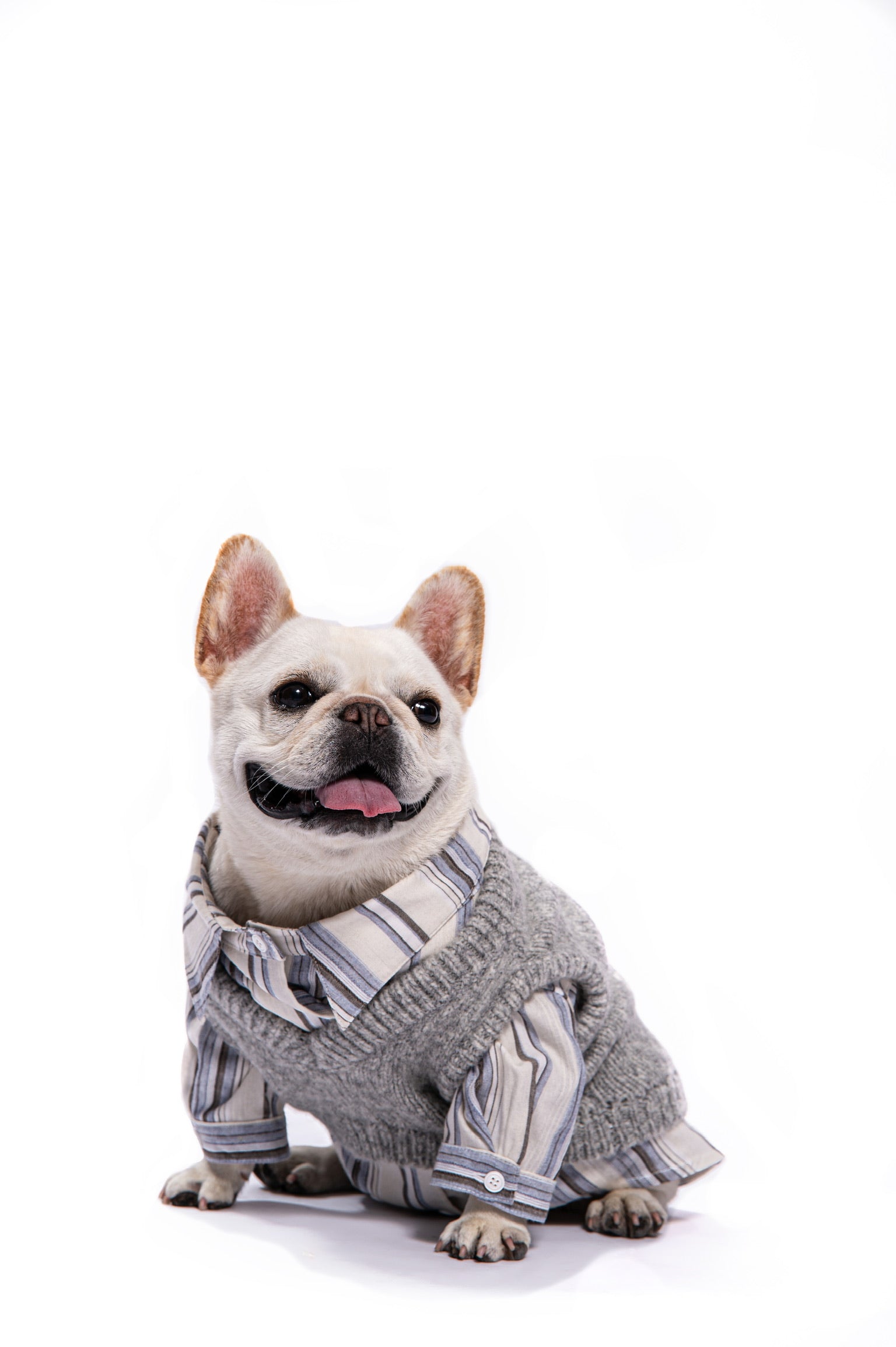 Knit Vest & Shirt Set